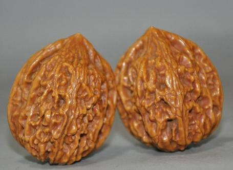 文玩核桃树苗种植方法