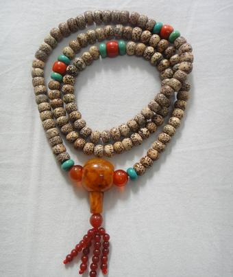 文玩核桃树苗种植方法