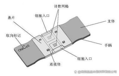 细胞计数器原理