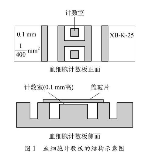 细胞计数器原理