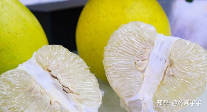 水果种子小盆栽种植方法