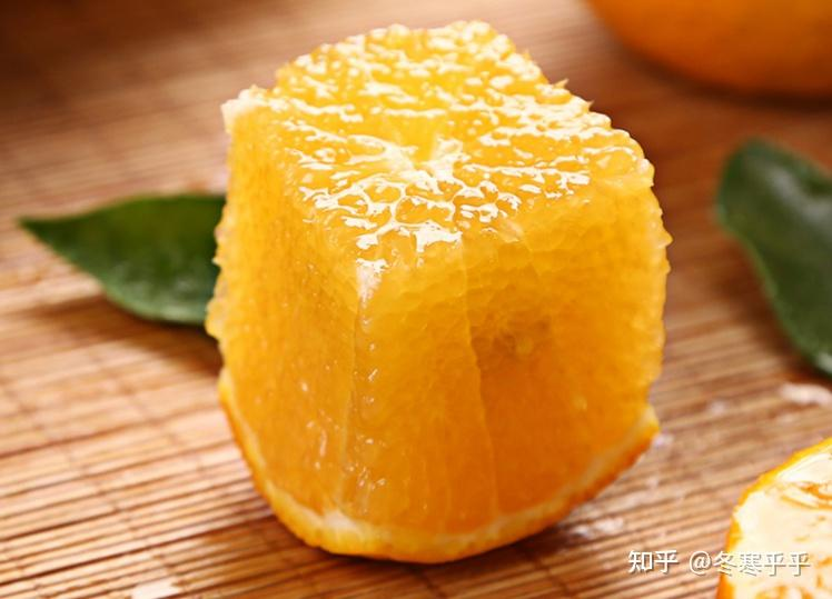 水果种子小盆栽种植方法