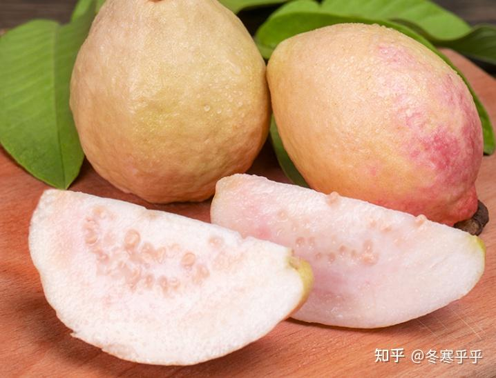 水果种子小盆栽种植方法