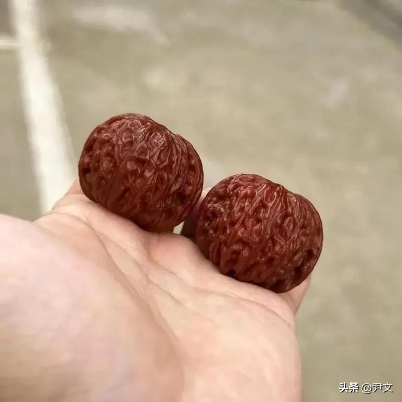 文玩核桃树苗种植方法