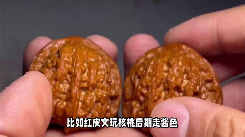 文玩核桃树苗种植方法