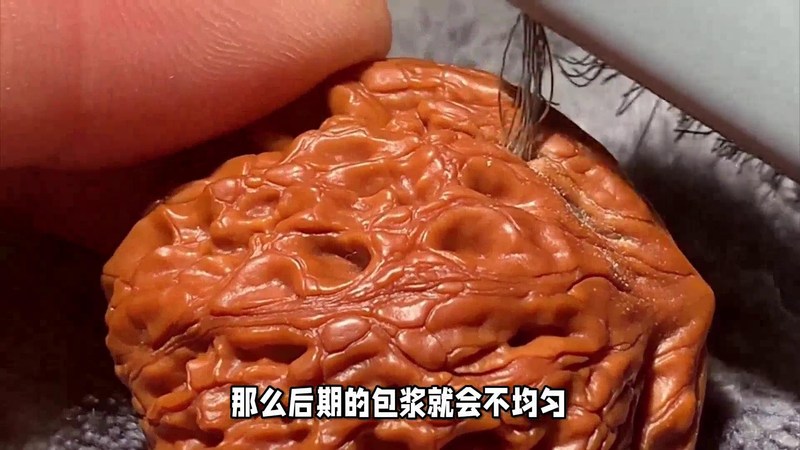 文玩核桃树苗种植方法