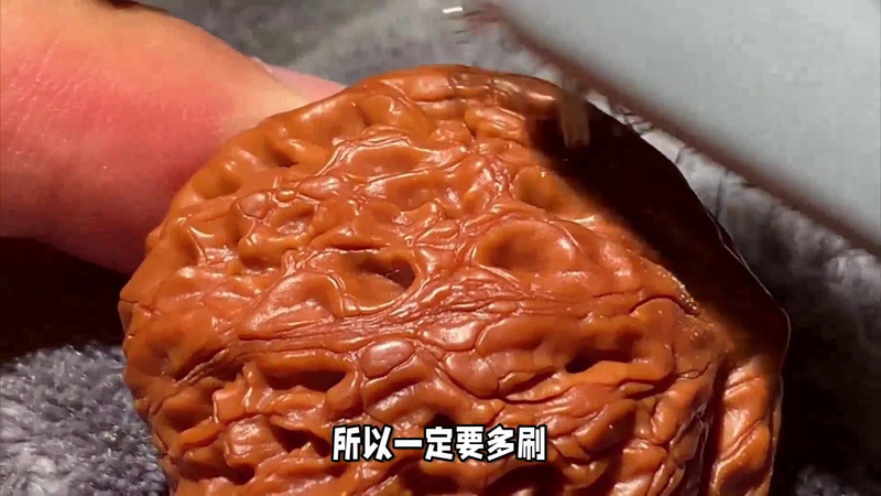 文玩核桃树苗种植方法