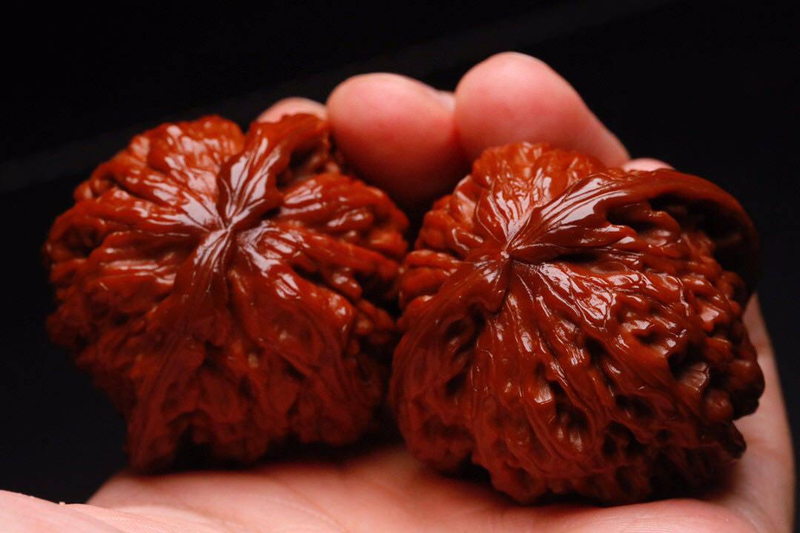 文玩核桃树苗种植方法