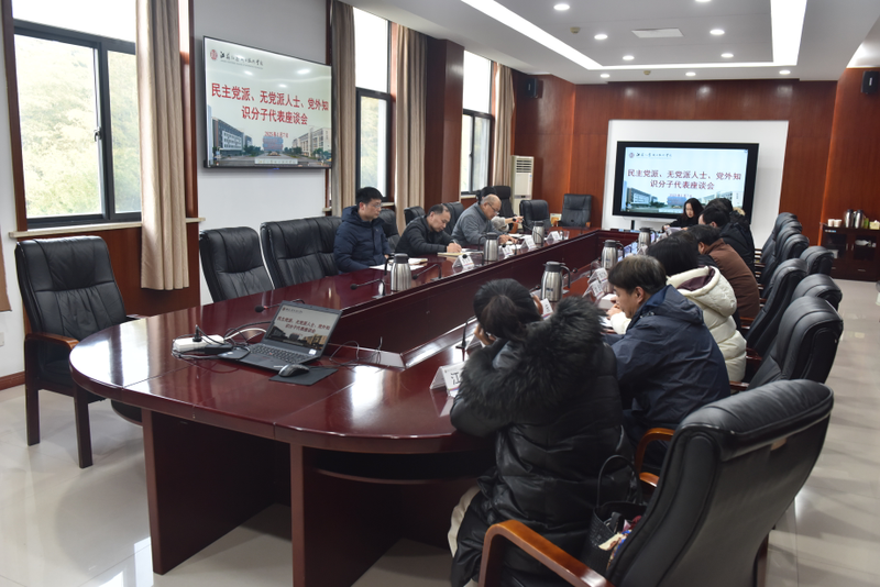 党外知识分子与党外代表人士