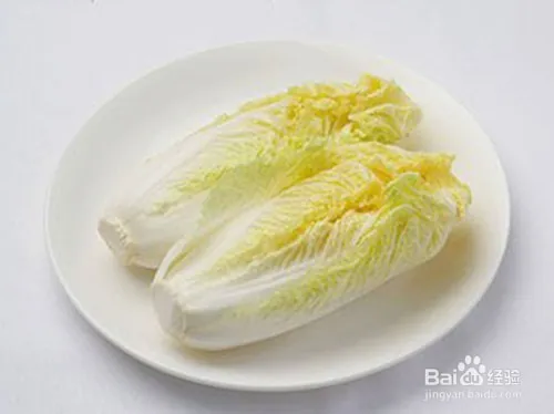 娃娃菜的种植方法