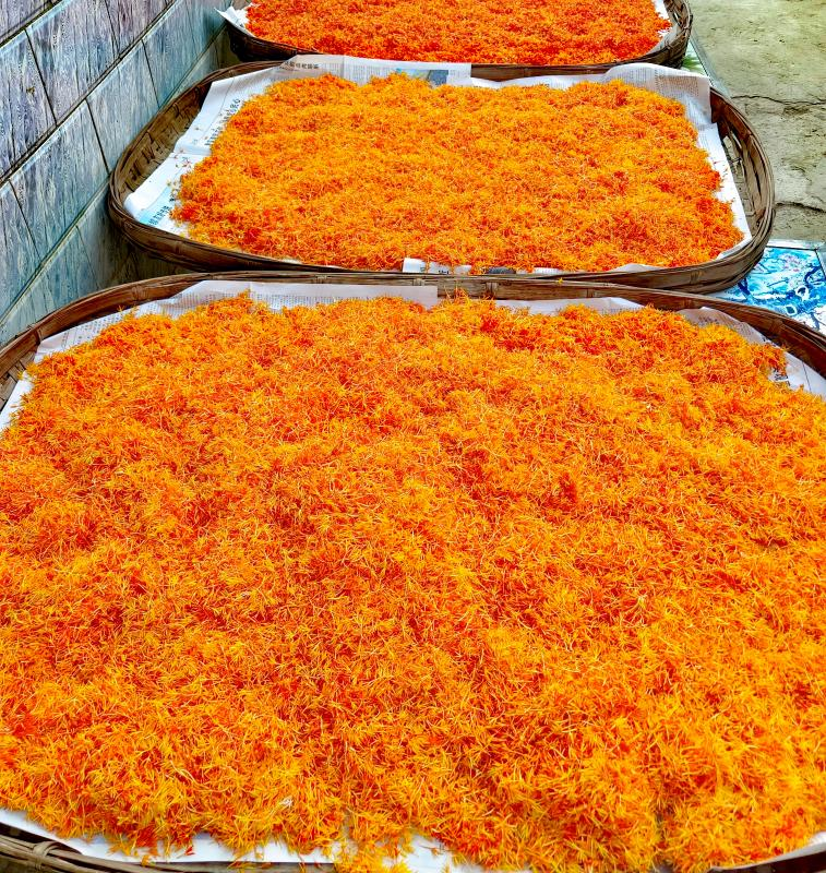 滇红玫瑰花种植技术