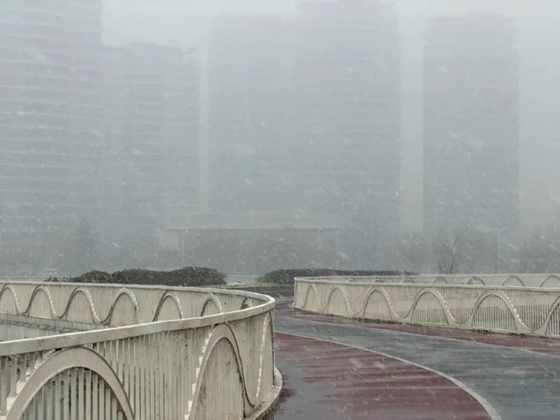 2026年1月中国房地产指数系统百城价格指数报告