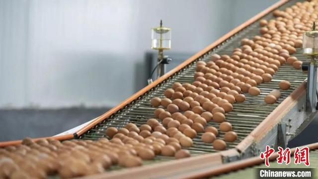 江西种植的水果