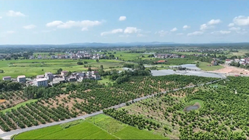 江西种植的水果