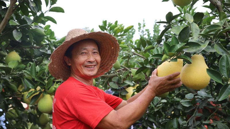 江西种植的水果