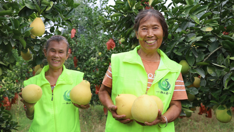 江西种植的水果