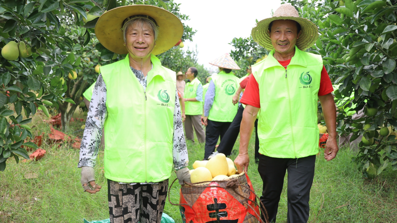 江西种植的水果