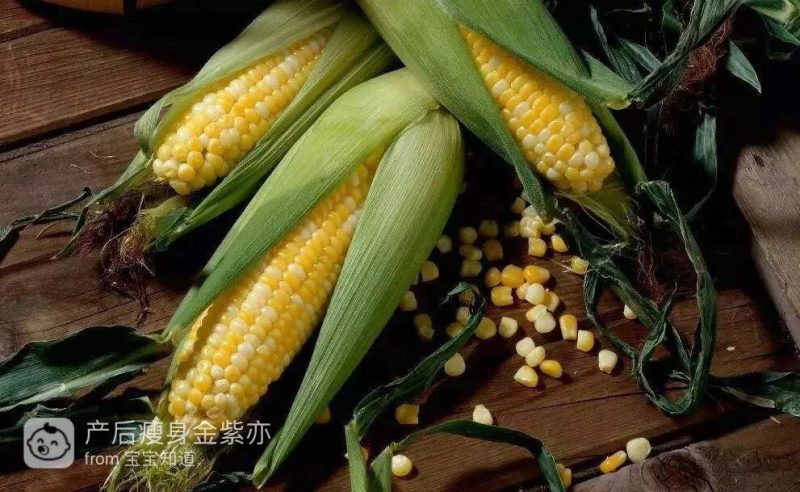 水果玉米种植技术