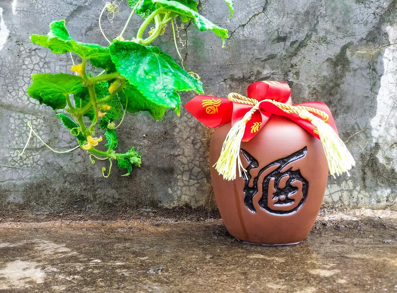 酒水知识与酒文化