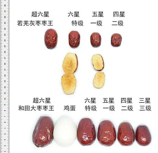 和田大枣种植方法