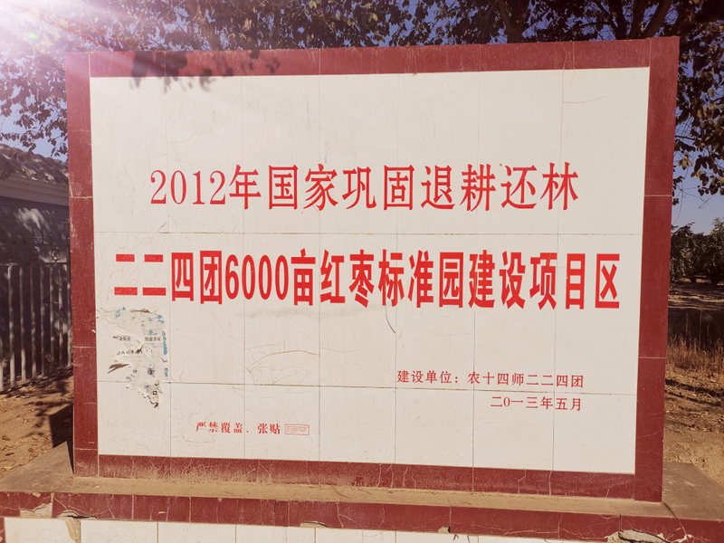 和田大枣种植方法