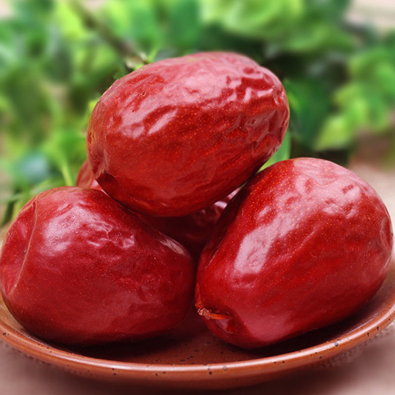 和田大枣种植方法