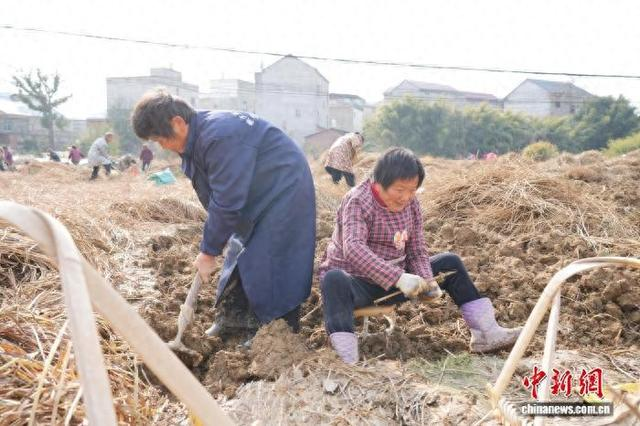 江西种植的水果