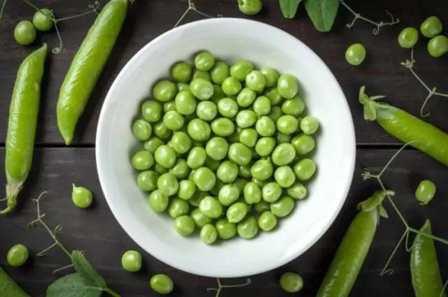 荷兰豆种植技术视频