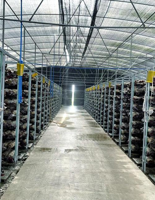 农广天地食用菌种植技术