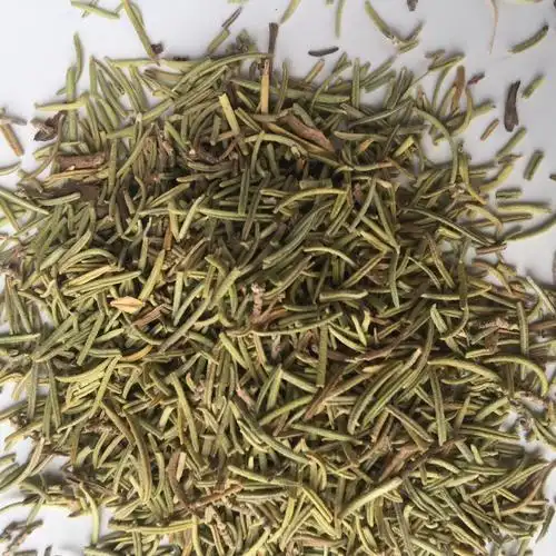 驱蚊草种植方法