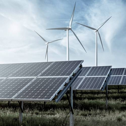 青岛包装箱价位