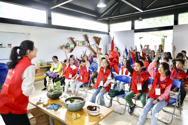 水族缸睡莲的种植方法
