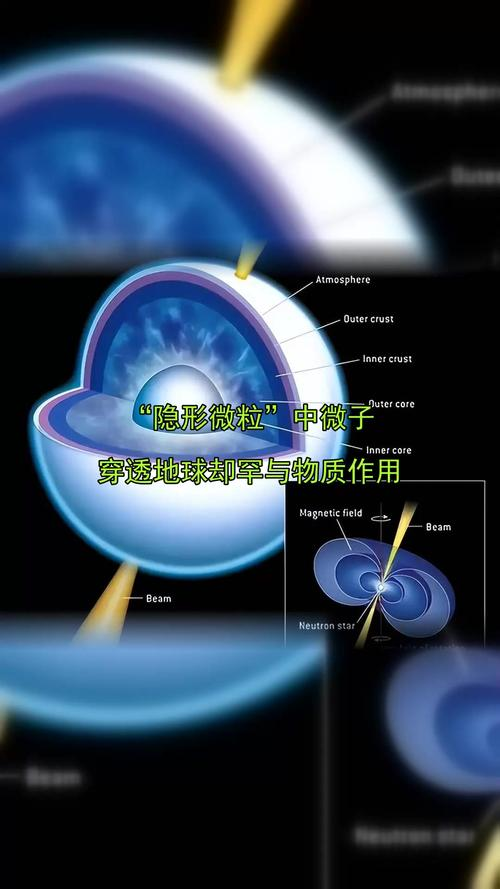 β粒子衰变规律