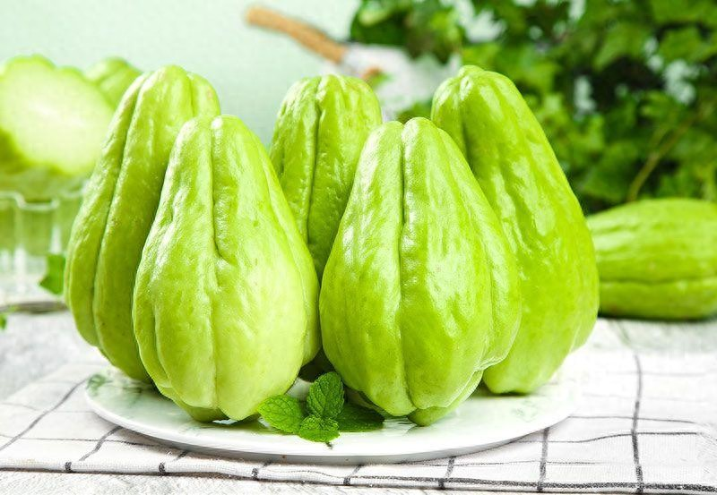 佛手瓜苗种植技术视频