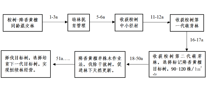 速生桉树种植技术