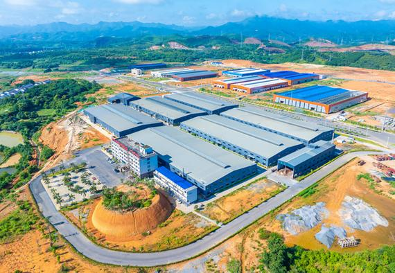 速生桉树种植技术