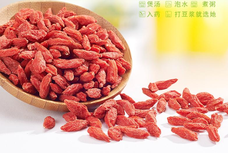 枸杞子树种植技术