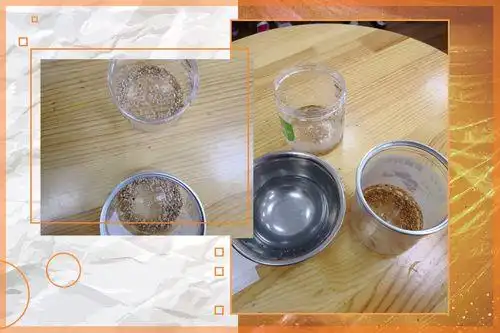 蕃茄如何种植技术