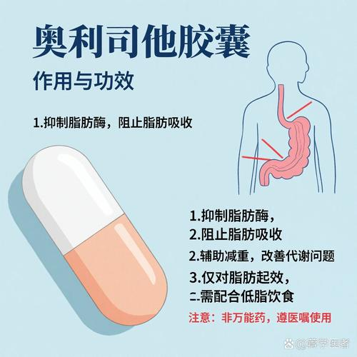 减肥药 百科常识网