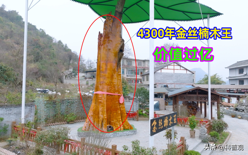 金丝楠木家具6件套价位