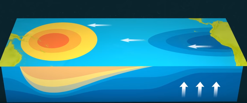 厄尔尼诺现象及成因