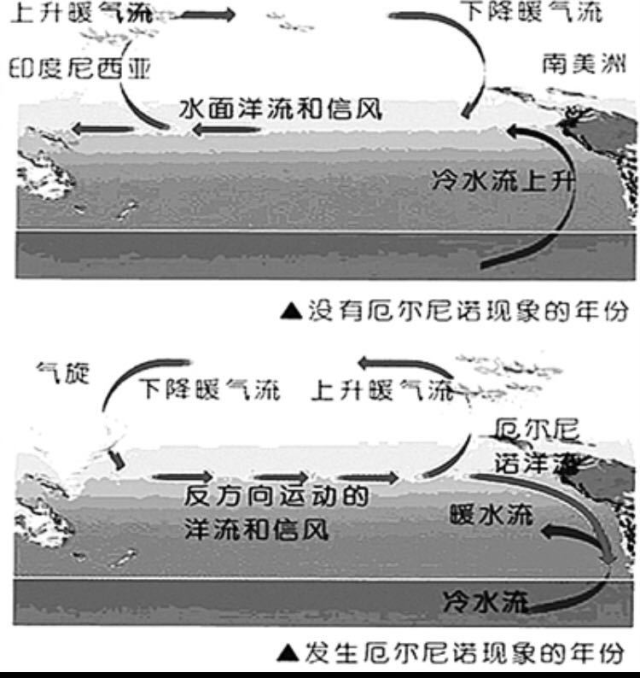 厄尔尼诺现象及成因