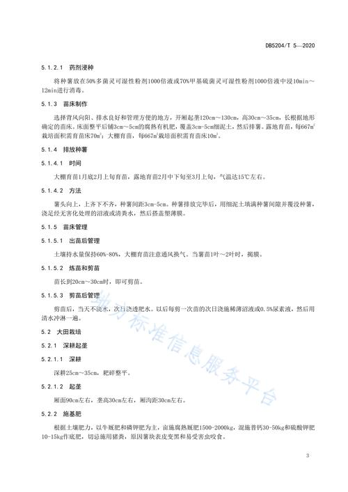 一点红种植技术