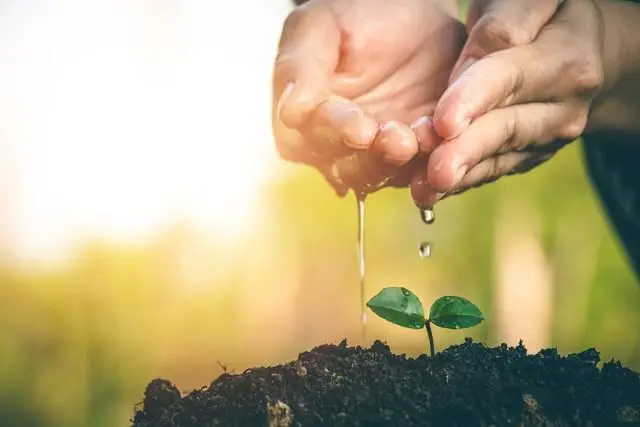 顺维修分期手机怎么样