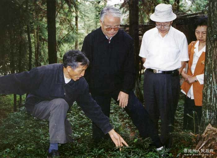 天麻种植技术书籍
