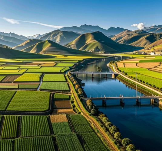 林下天麻种植技术