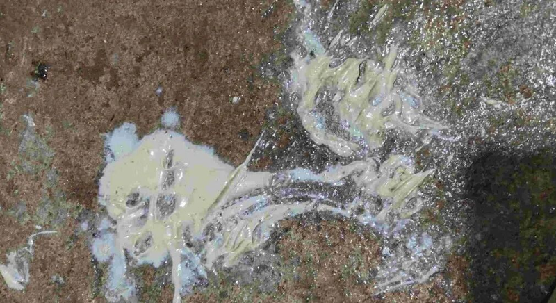 猪便秘的治疗方法