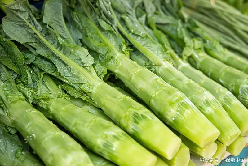 莴笋种植技术
