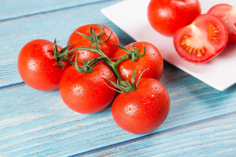 蕃茄如何种植技术