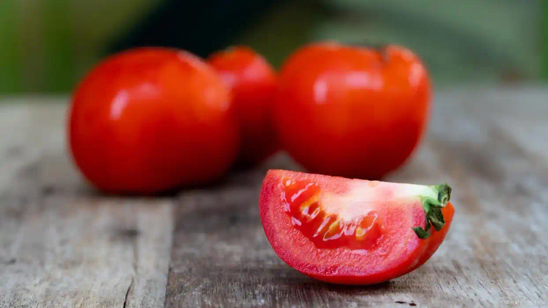 蕃茄如何种植技术